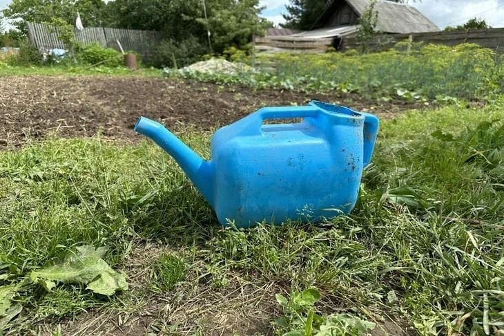 Как нужно поливать сад в июле: опытные садоводы рассказали о главных правилах