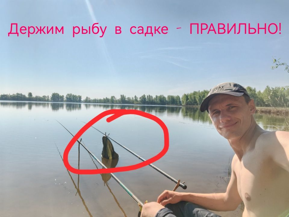      :   