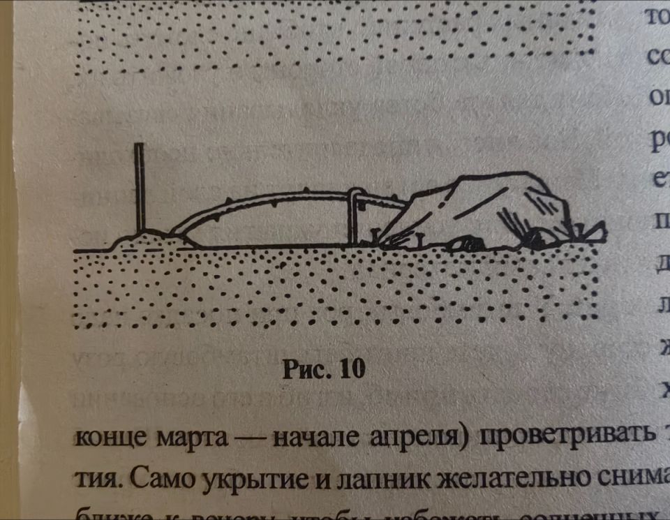      :   