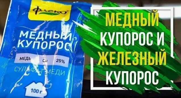     :    ?