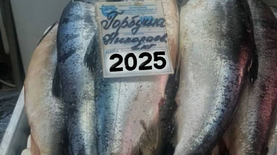  2025:       