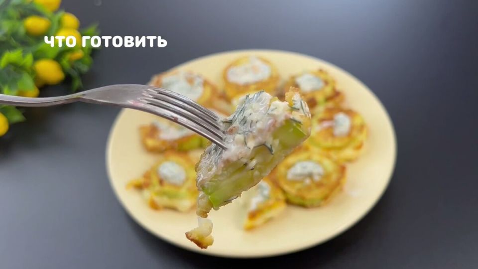Кабачки для всей семьи: кулинарные идеи на каждый день
