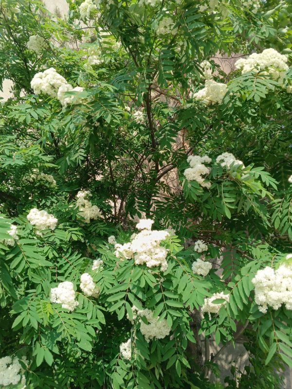 Долгое отсутствие: как жизнь разделила детских подруг и позволила им воссоединиться