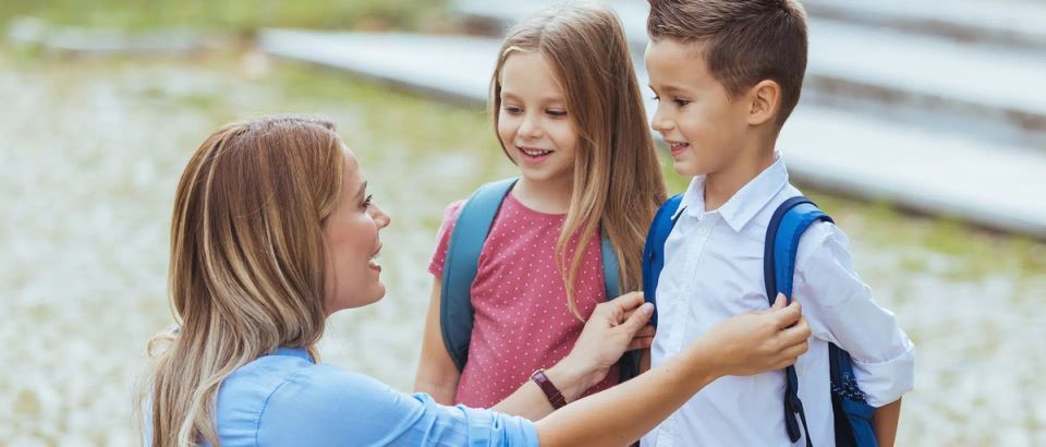 Земельная реформы для многодетных семей: реальные изменения или вновь пустые обещания?