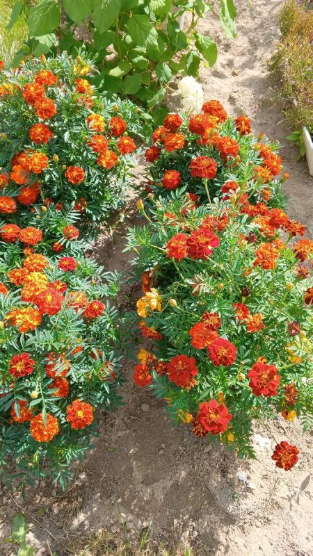 Как правильно завершить день, чтобы встретить утро с радостью