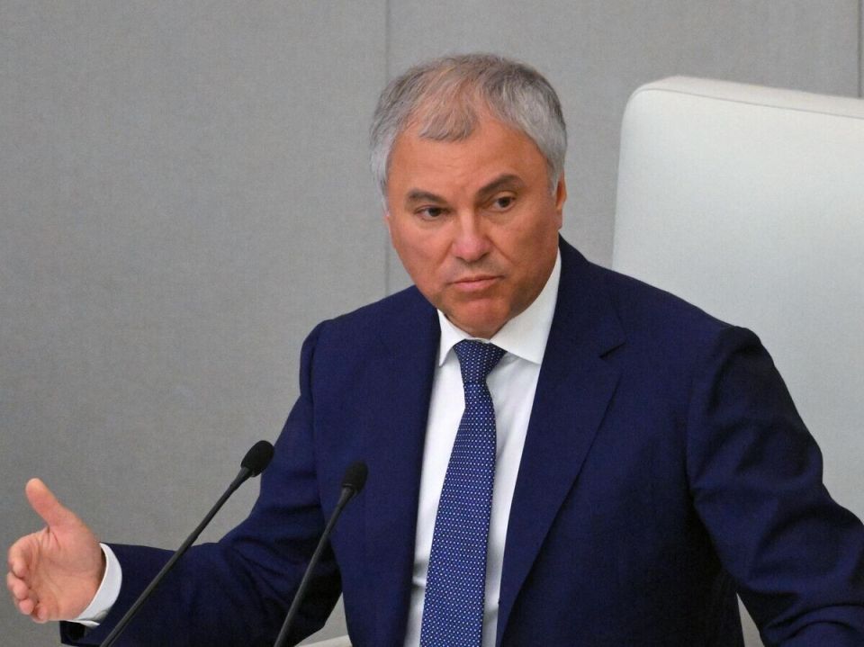 Госдума обсуждает реакцию на хищение активов