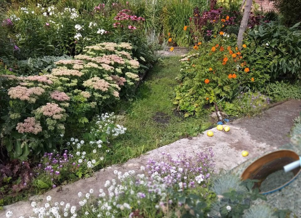 Тонкости утилизации воды на даче