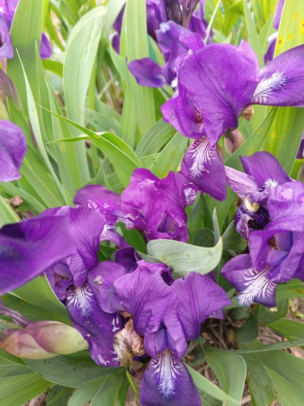 Слова, которые вдохновляют: как поддержать взрослого сына