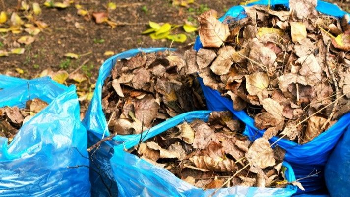 Как преобразить заборы из рабицы: оригинальные идеи для дачи