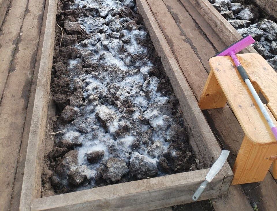 Почему белый налёт на почве после рыбной муки – это нормально и даже полезно?