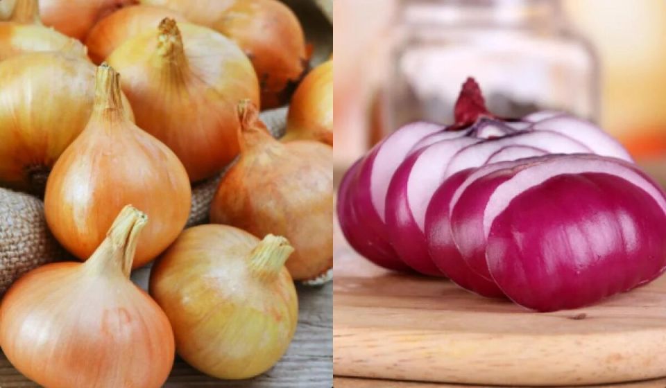 Как сохранить лук свежим на протяжении полугода: секреты правильного хранения