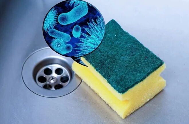 Кухонные губки: скрытые угрозы, о которых стоит знать
