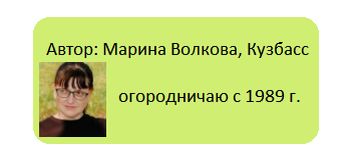 Сверхранний арбуз Дютина: чудо для сибирских огородов