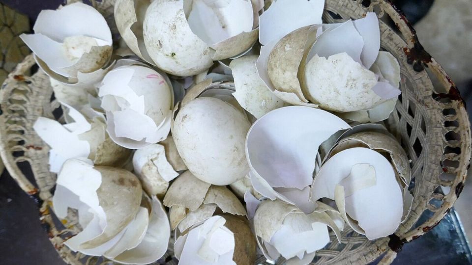 ������ �������� � ����: ��� ������� �������� ������ � �������� �������