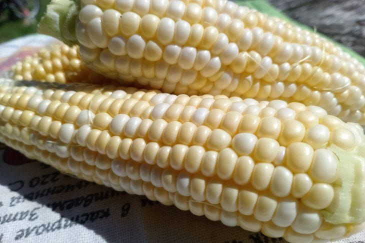 ��� ������ �������� ���������: ���������������� ���������� ������ � � ��� �� ��������