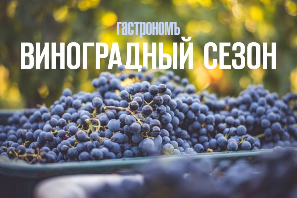 ����������� ����� 2025: ��� ����� � ������, ����� � ������ ������