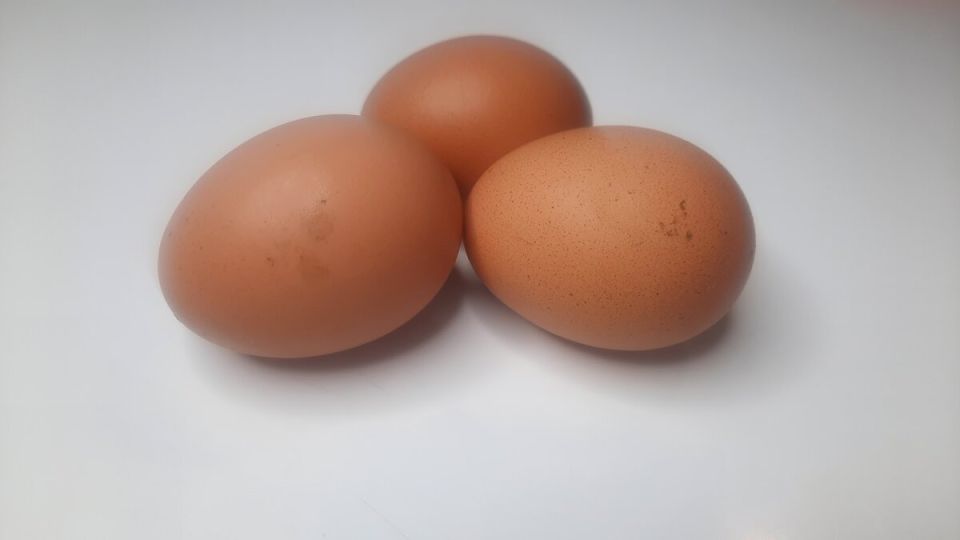 ������ ���� ����� ���� ��������: ����������� ���������, ������� ����� ��������