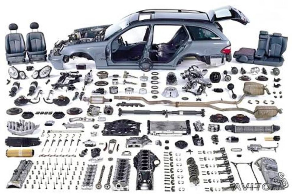 ��� ������� ������������: ���� ����� � 2025 ����