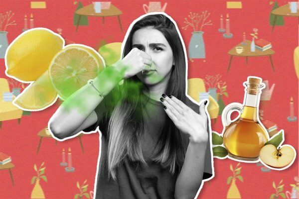 Как быстро и безопасно освежить воздух в квартире: проверенные методы без химии