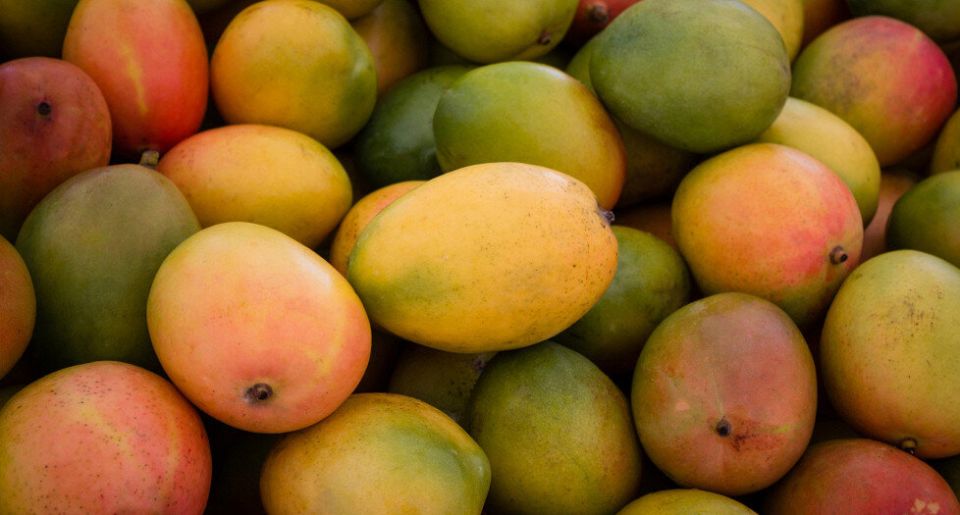 ��� ��������� ������� � ����������� �����: ������� �� ���������