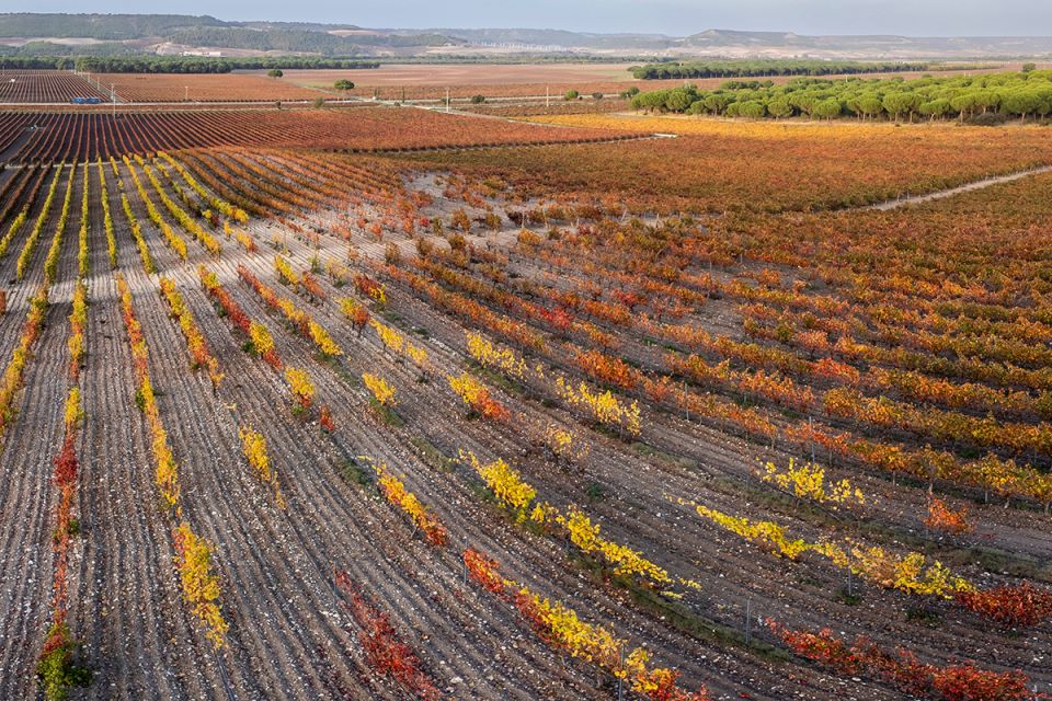 ������� ��������� ��������: ����, ������� ����� �����������