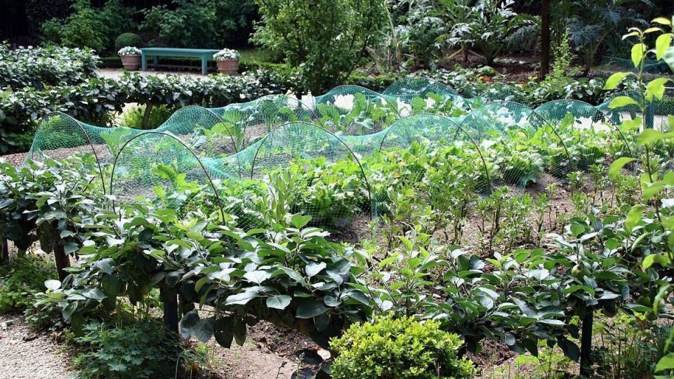 ���, ��� ����� ����� � ���������� �������