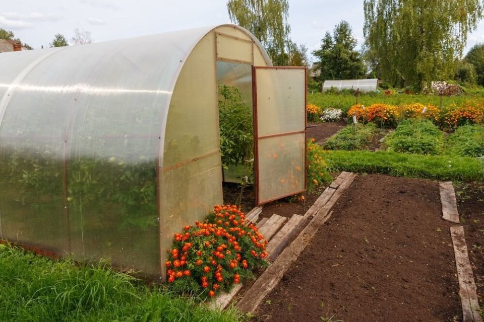 Переход на органическое земледелие в теплицах: мифы и реальность