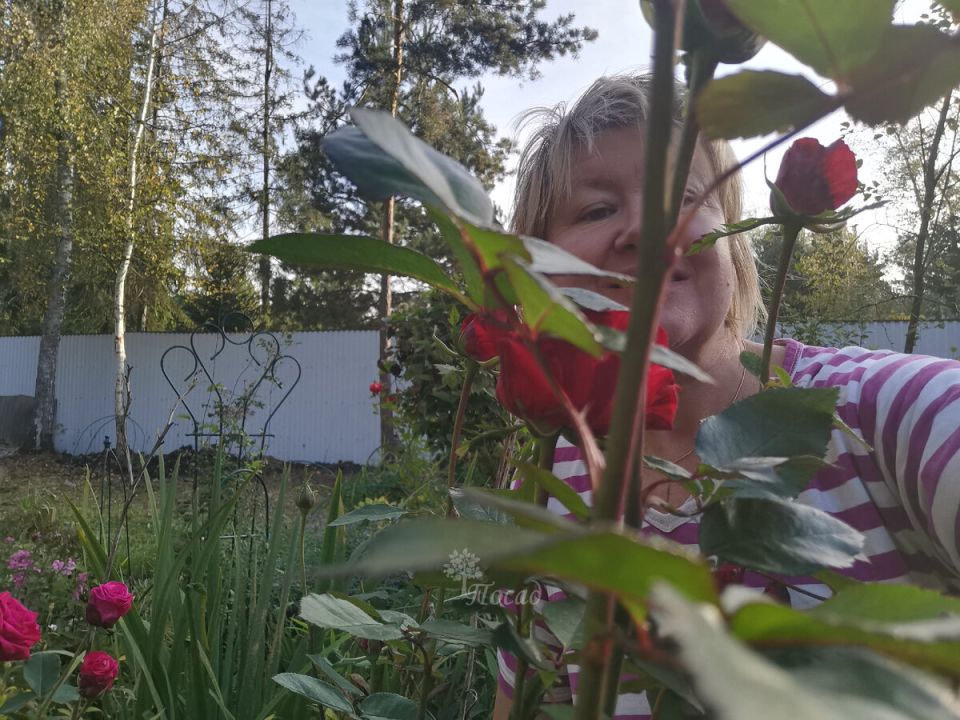 ����� � ���� ����: �������� � ������ � ������� ��������