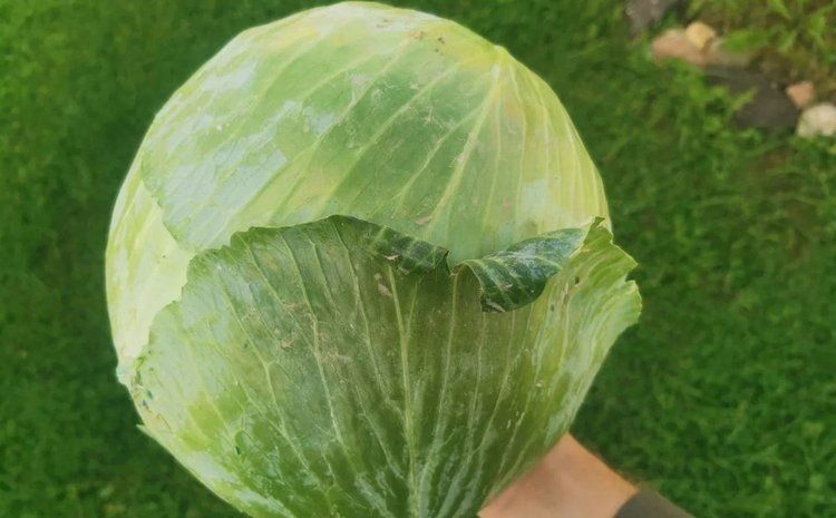 ��� ��������� ������� �������: ��� ���������� ������� ��� ��������