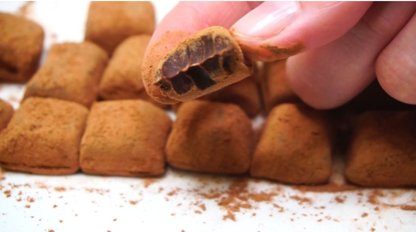 Легкие и вкусные домашние конфеты: просто, быстро и дешевле магазинных