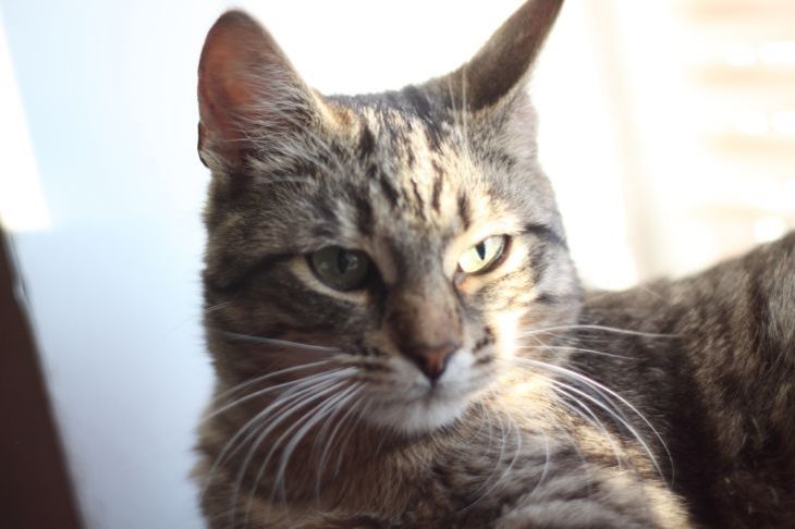 ���� ��� ������ � ������ ��� ����: ��������� ����������� �� ����� ���� ��������