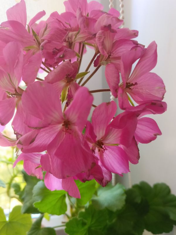 ��� ������� ��������� ����� ��� ��������� ������