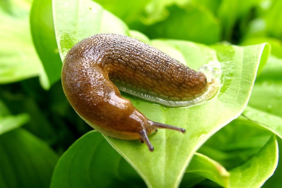 �������� � ����: ��� � ���� ��������