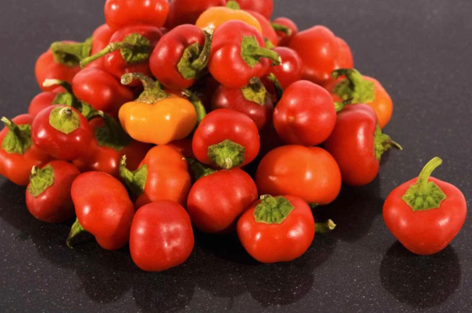 ������ ����� �������� �������� �� ������������ ������� �����