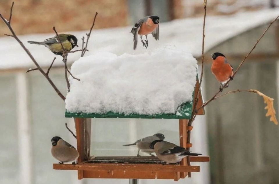 ��� ������ �������� ��������� ������� ������ ���� ������