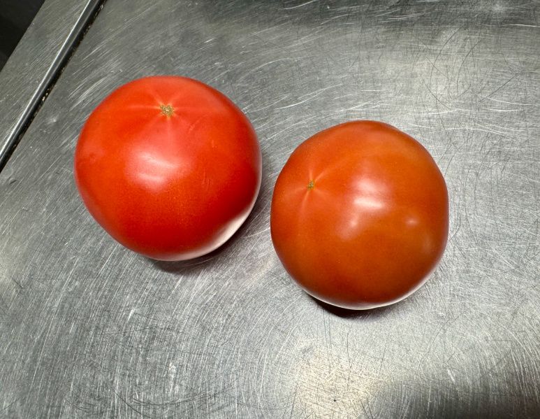 ��� ����� ���������� � �������� ���������: ������� �������� ���������