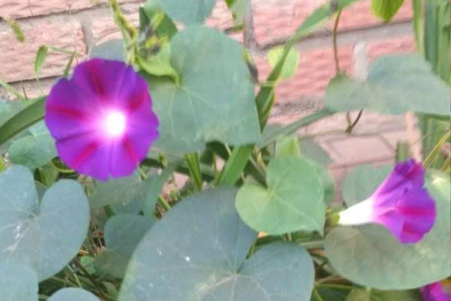 ����������� ������: ��� ��������� ��������������� �������� �������� ������