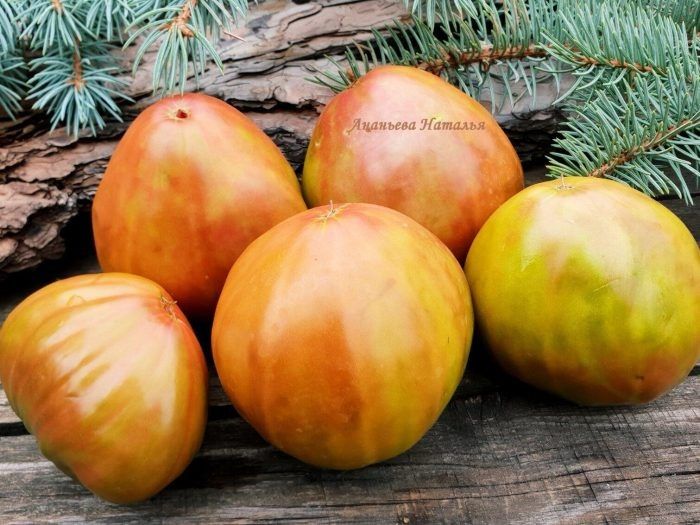 ����� ��������� ������: ��� ����� ������� ���� �������� ���� �����