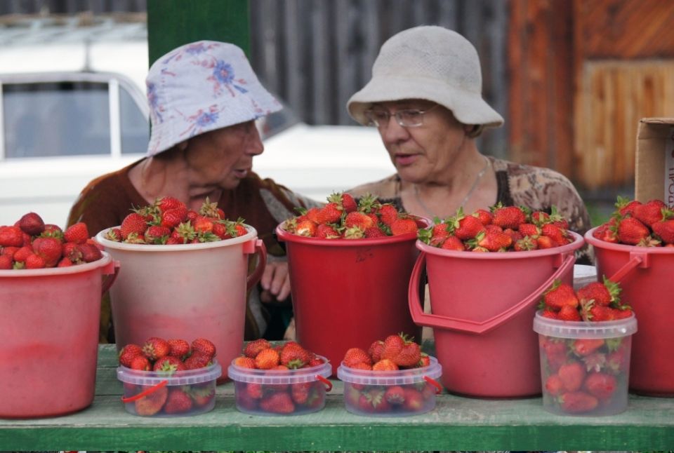 ����� ����� ������: ����� ����� �������� ������� �������?