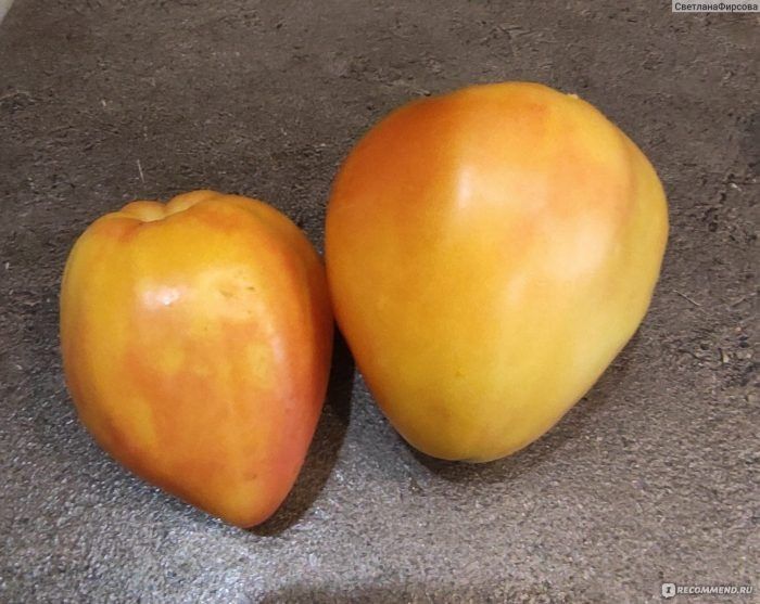 ����� ����� ������ �������: ���������� ����������� ������� � ����������� ������