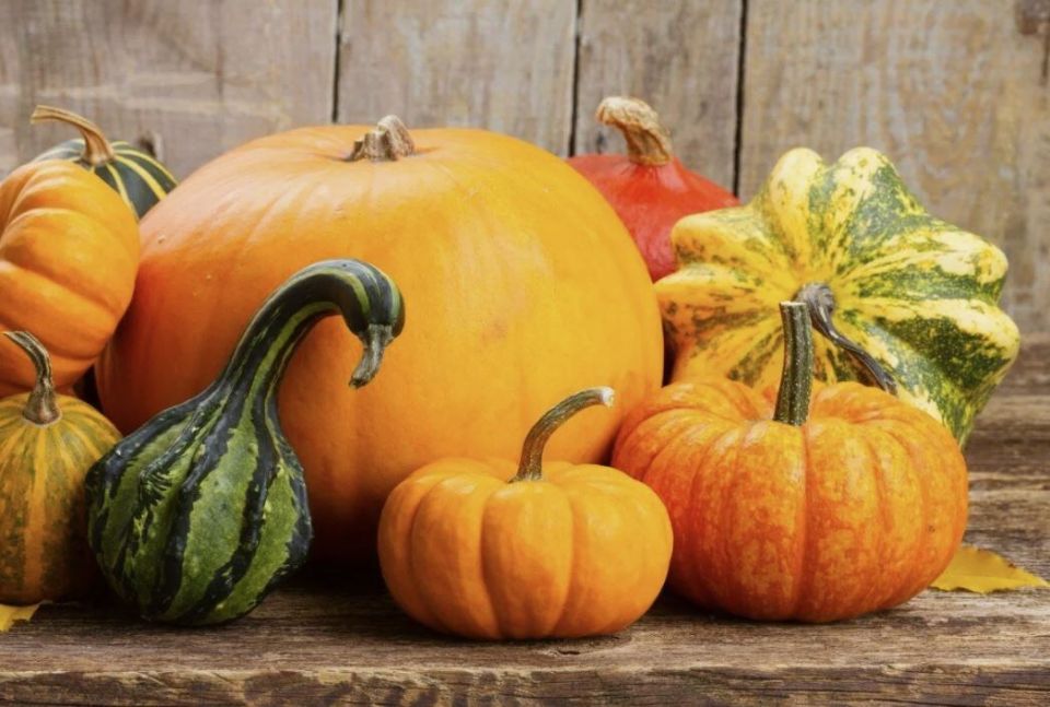 ��� ��������� ����� � �������: ������� ����������� ��������