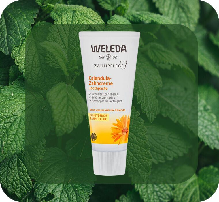 10 ������ ������� ��� ��������� ������� ������� ���, ������� ����� �����������