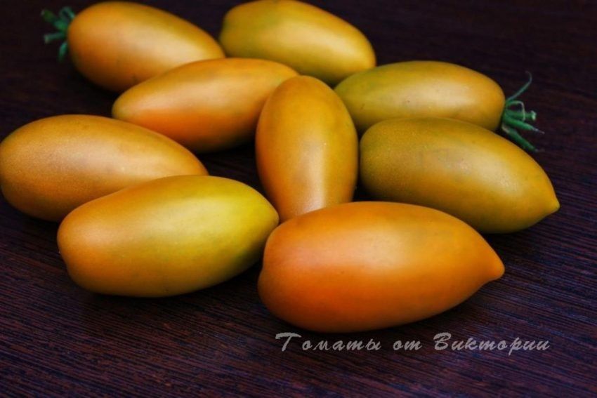 ���� ������ ������: ��� �������� ��������� ����� �� ����� �������