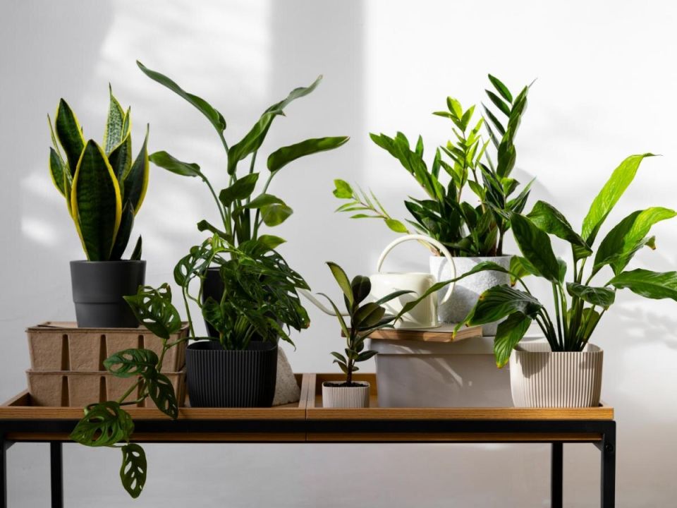 ���� �� ���������� ���������� ������: ��������� ����� � ������