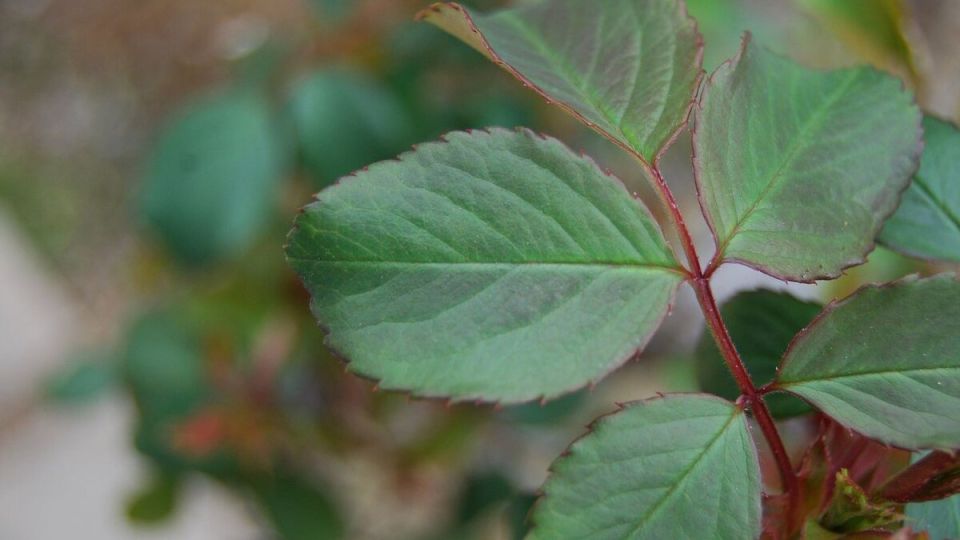 ������ ������ ������ ���� ����������������� ����� ��������?