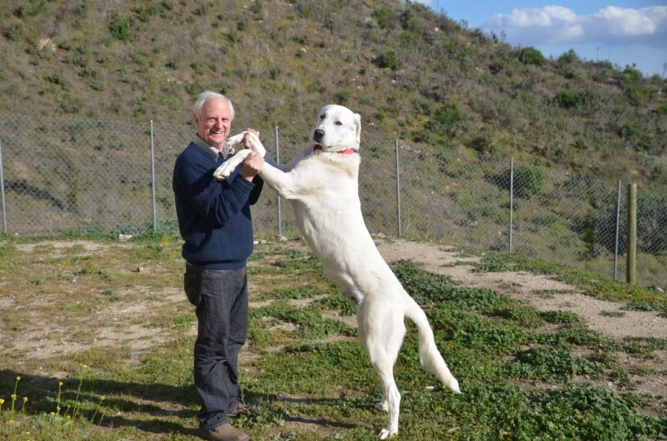 ������� ������ �����: ��� ����� ����� � �������� ����������