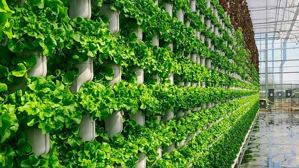 ������������ �����: ���������� ������� ���������� ��������� ���������