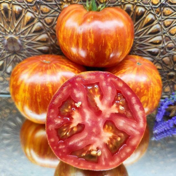 Обольститель томат: как вырастить красивый и урожайный сорт на вашем участке