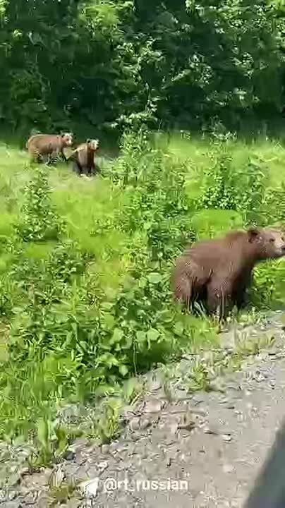  ,     , , 