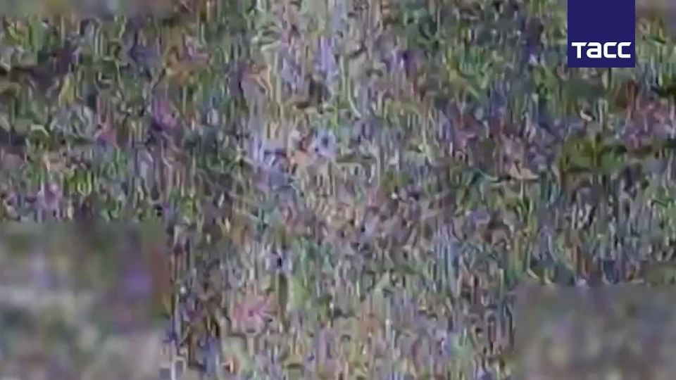  FPV- &quot;&quot;     ,  